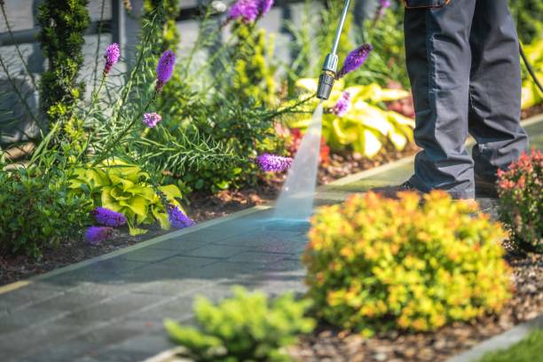 Best Gutter Cleaning  in Bowling Green, MD