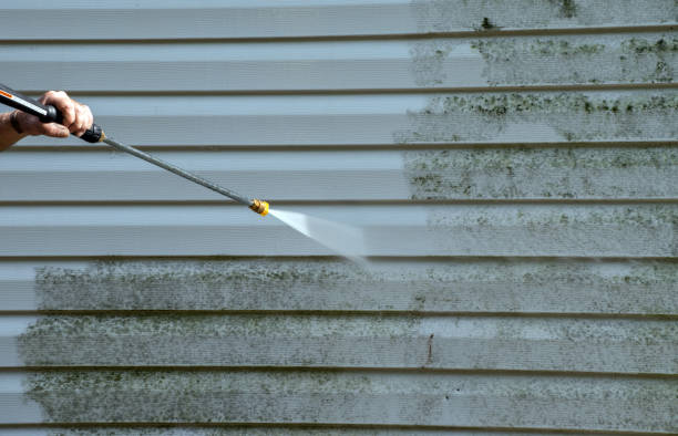 Best Building Exterior Washing  in Bowling Green, MD